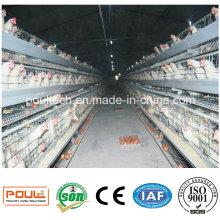 Cages de poulet à batterie automatique fabriquées en Chine